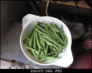 Click image for larger version. 

Name:	051813-beans.jpg 
Views:	892 
Size:	34.3 KB 
ID:	288