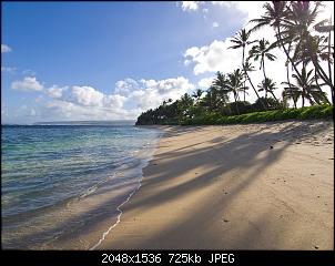 Click image for larger version. 

Name:	Tropical Beach.jpg 
Views:	198 
Size:	724.9 KB 
ID:	8558