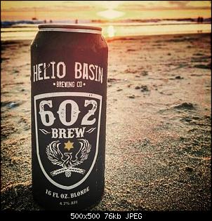 Click image for larger version. 

Name:	602-brew-blonde.jpg 
Views:	200 
Size:	75.6 KB 
ID:	9074