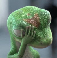 :gecko: